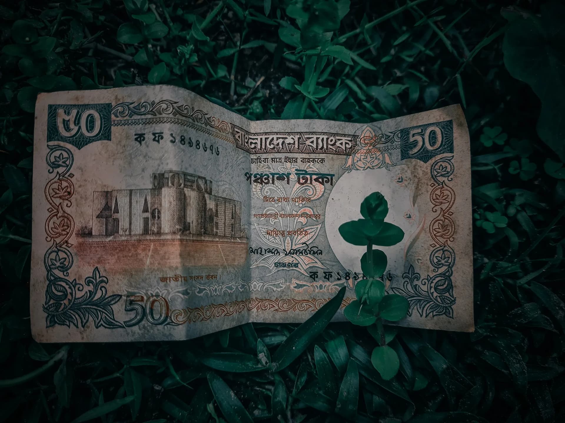 A 50 Taka banknote resting on grass with a green plant shoot growing over it
