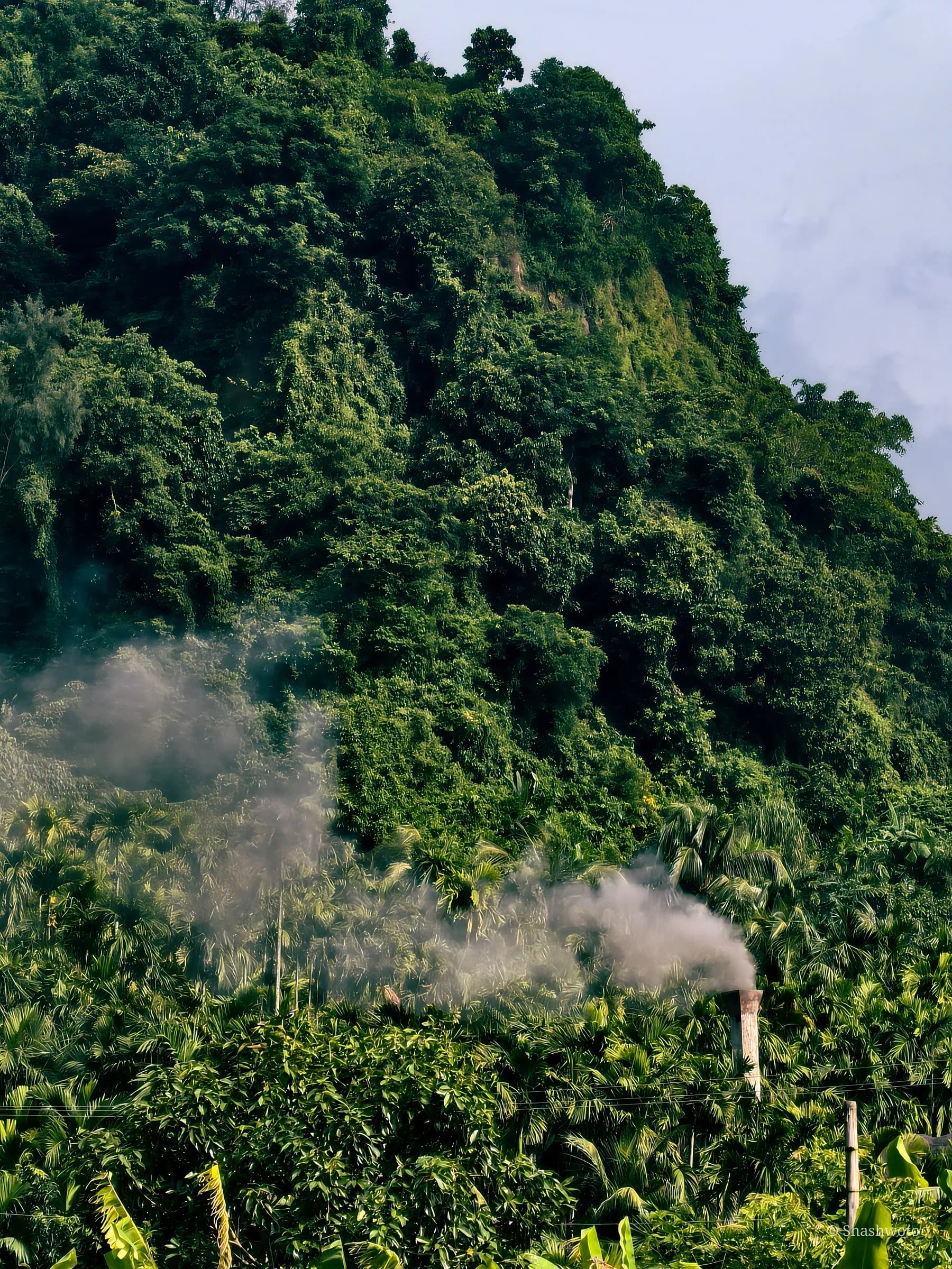 Dense forested green hill with pale smoke rising from a chimney below