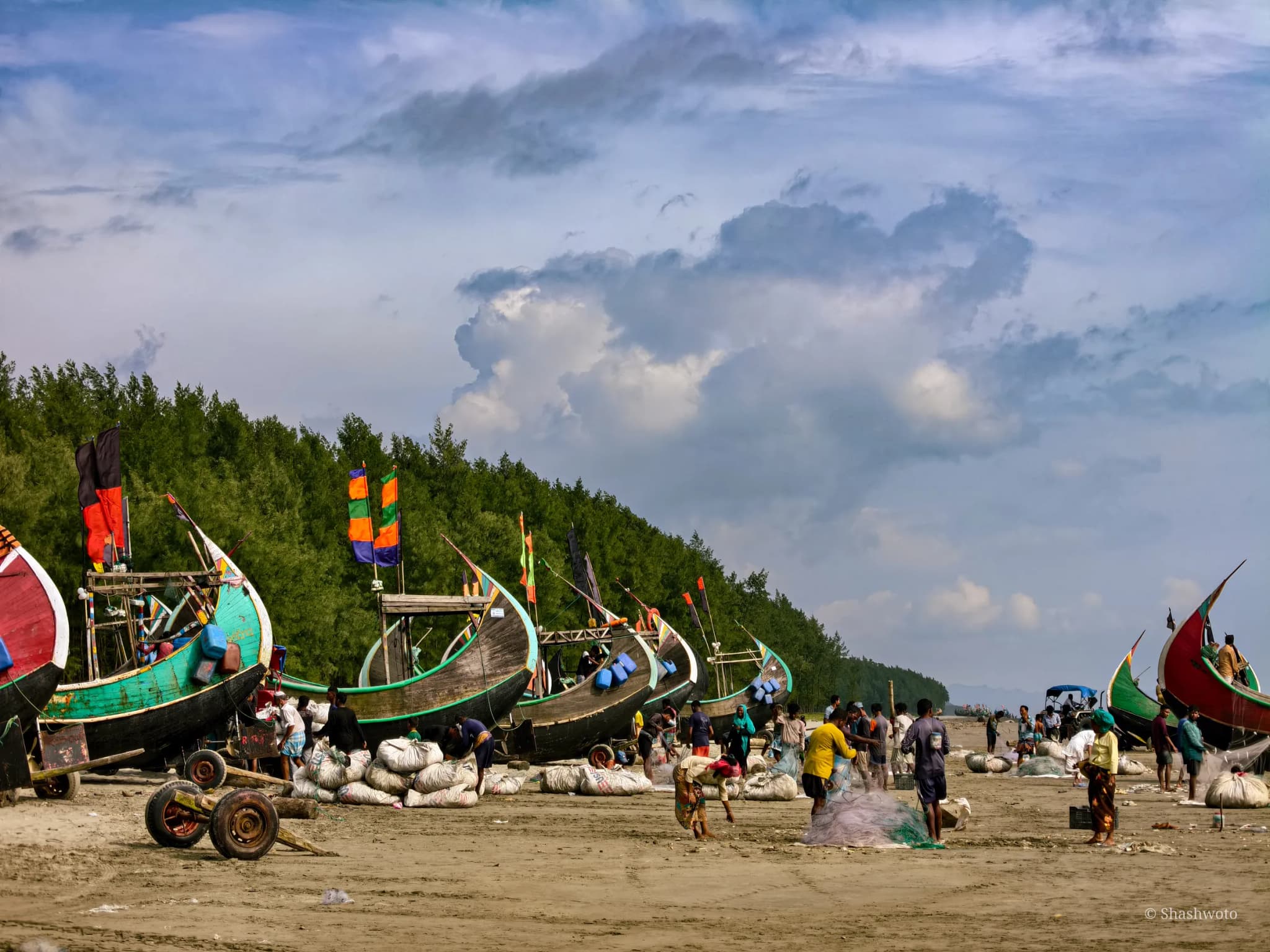 Multiple traditional crescent boats lined up along the coastal sand by the treeline
