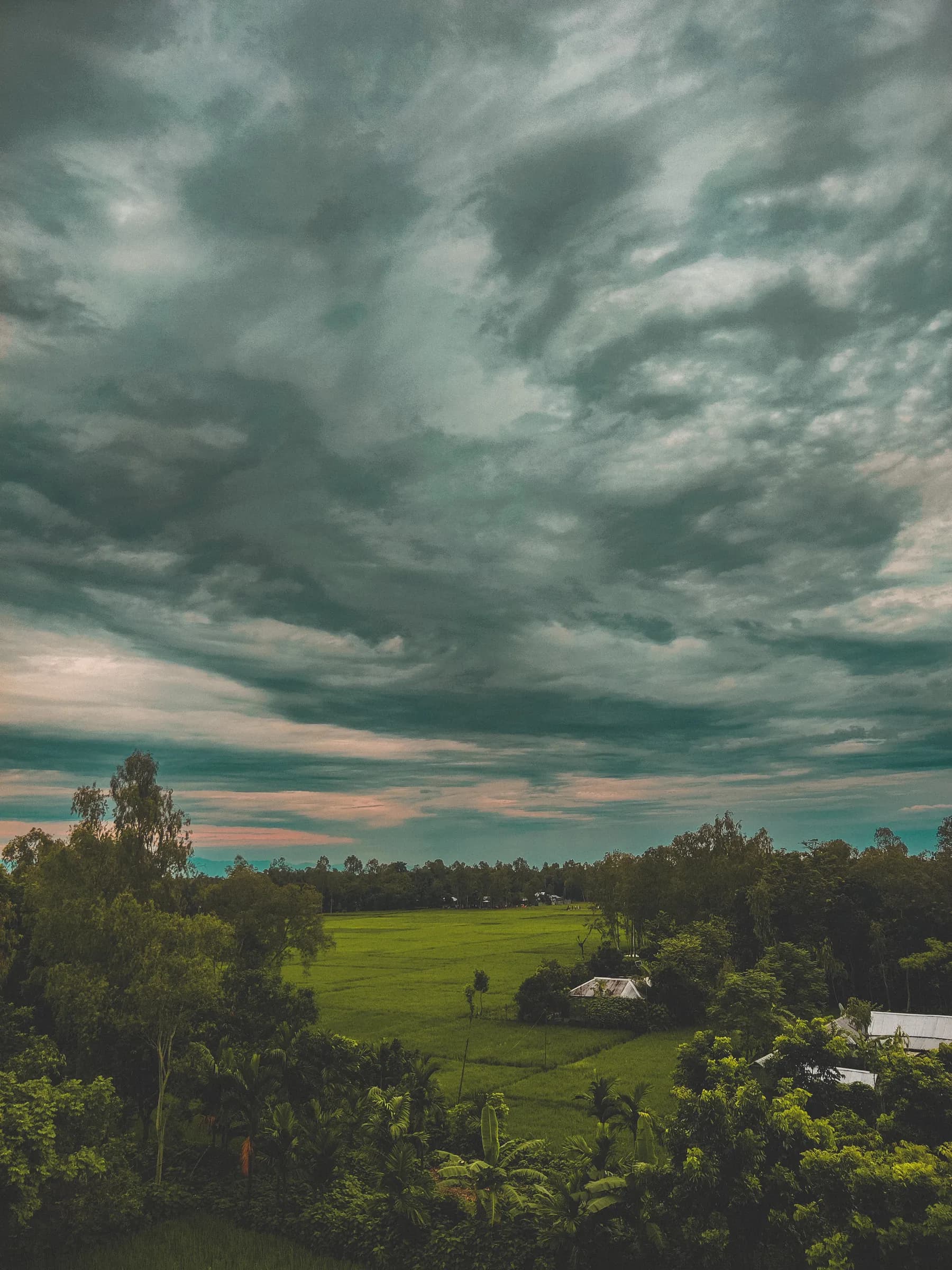 Wide green paddy fields bordered by trees beneath dark monsoon storm clouds