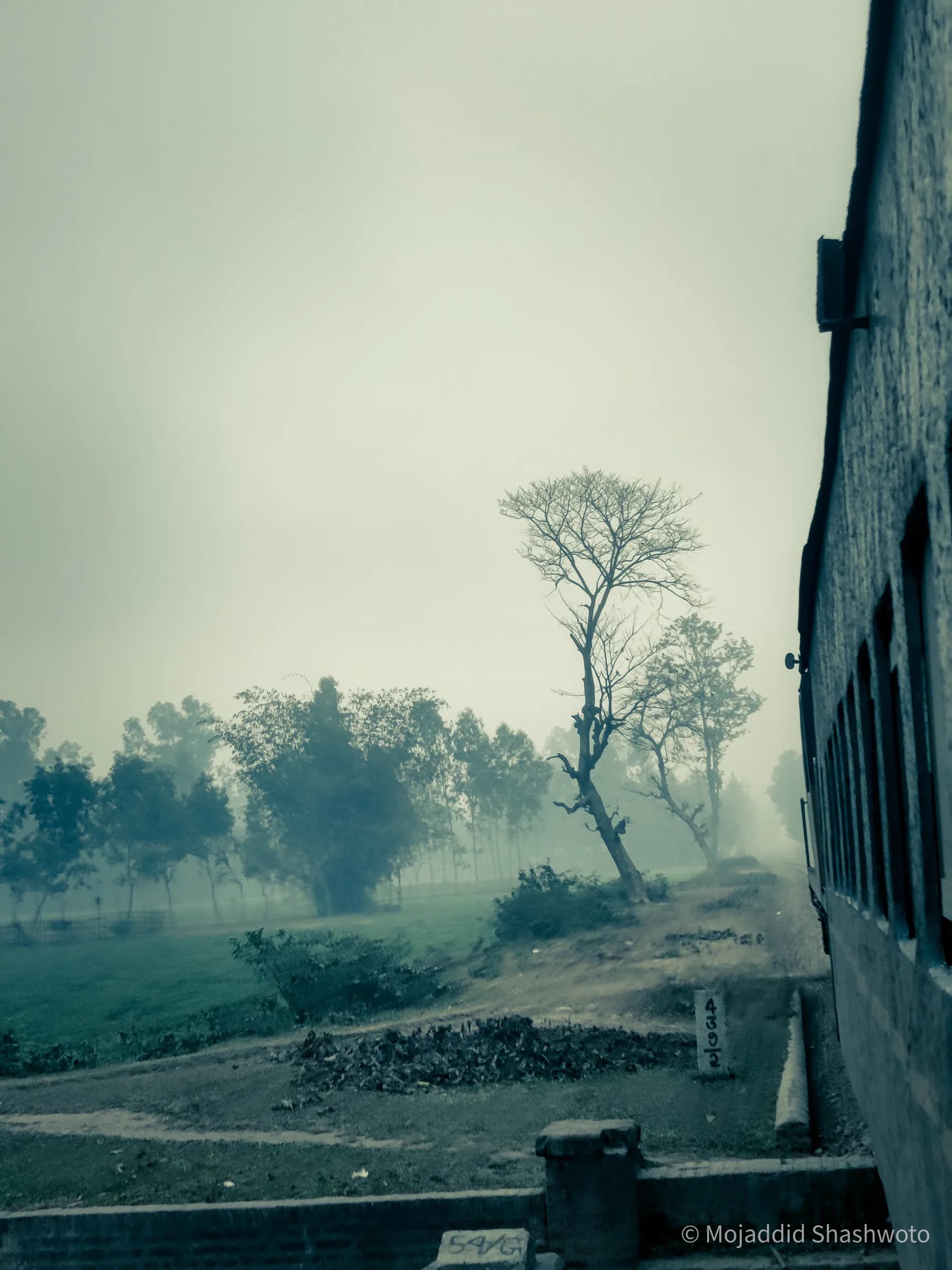 View looking along the side of a moving passenger train into misty countryside