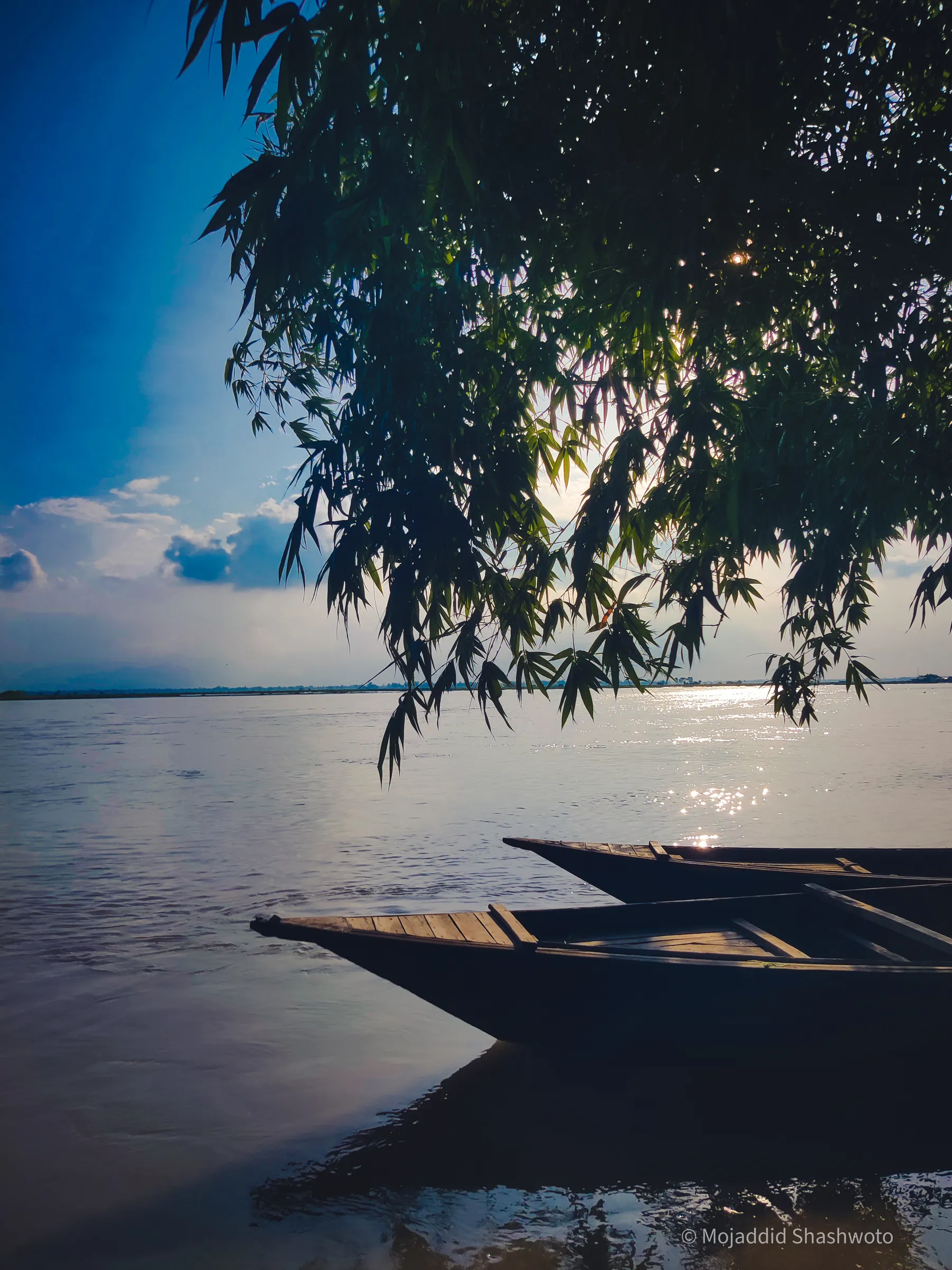 Narrow wooden boats resting in calm river water beneath overhanging bamboo fronds